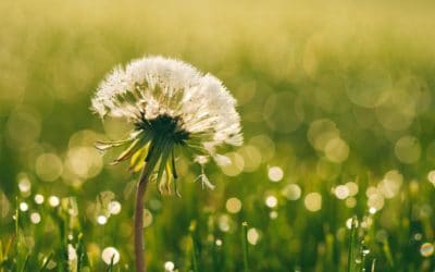 Am I experiencing grief or depression?