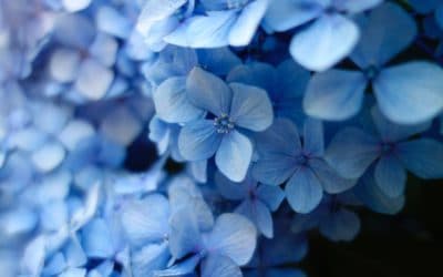 Do I have perinatal depression, baby blues, or “regular” depression?